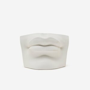 Featured image of David Mouth Cast