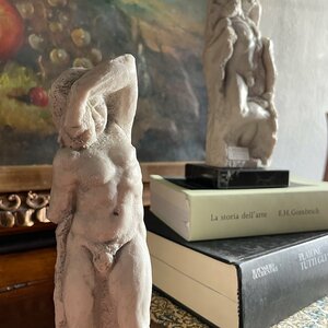 Featured image of The Young Slave by Michelangelo