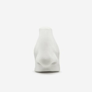 Featured image of David Nose
