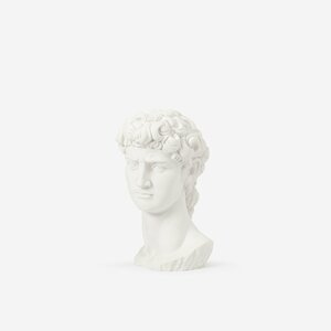 Featured image of David'S Head