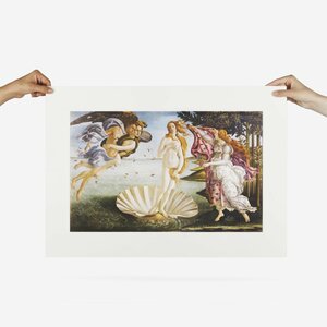 Featured image of THE BIRTH OF VENUS