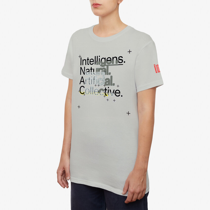 Immagine in evidenza di T-SHIRT GRIGIA INTELLIGENS. NATURAL. ARTIFICIAL. COLLECTIVE.