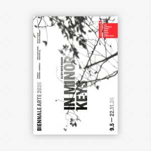 Immagine in evidenza di POSTER IN MYNOR KEYS