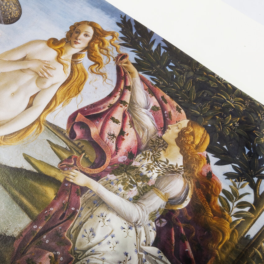 Featured image of THE BIRTH OF VENUS