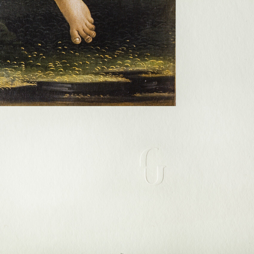 Featured image of THE BIRTH OF VENUS