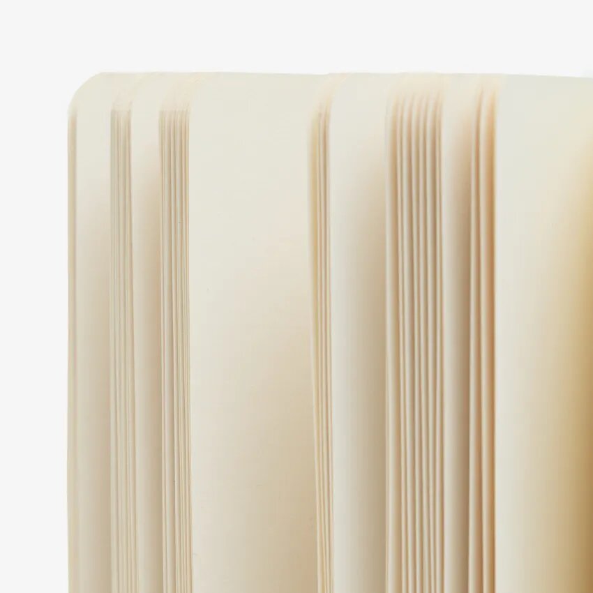Featured image of MEDUSA NOTEBOOK