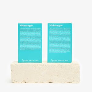 Featured image of MICHELANGELO NOTEBOOK