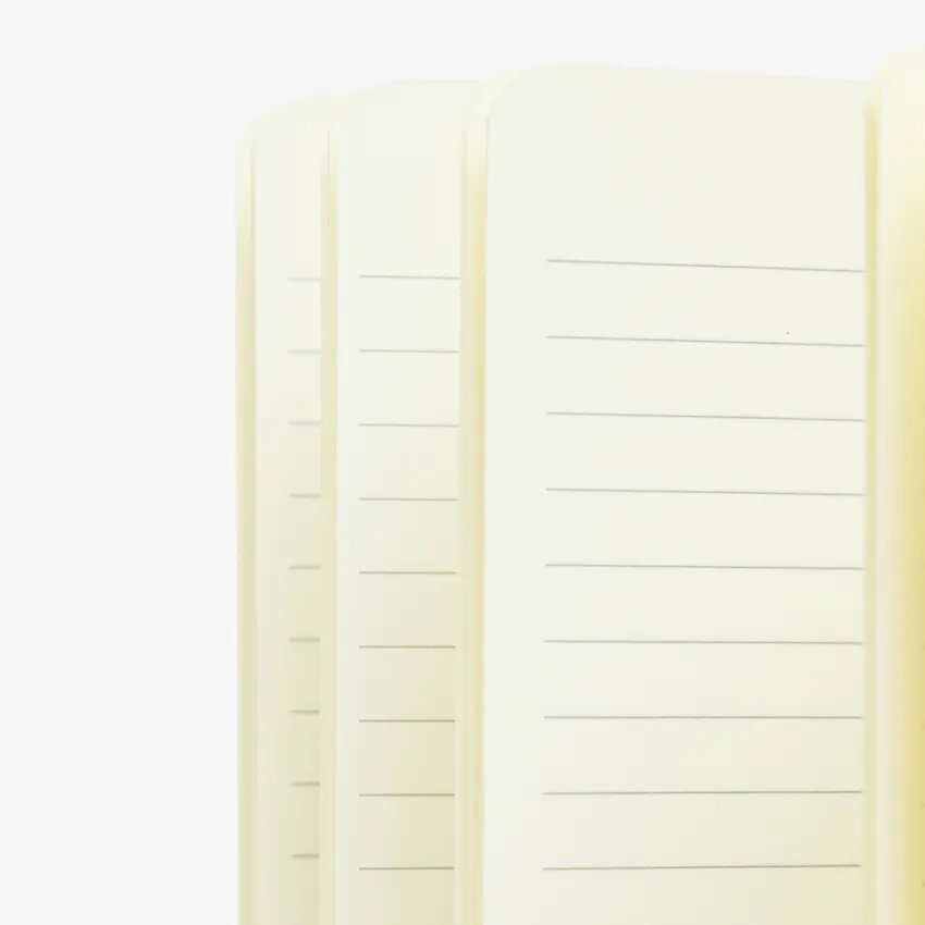 Featured image of MICHELANGELO NOTEBOOK